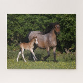 Bob Langrish | Welsh Pony Mare and Foal Running Legpuzzel (Horizontaal)
