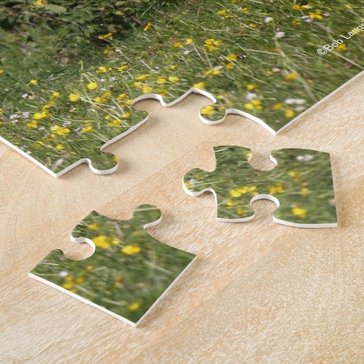 Bob Langrish | Welsh Pony Mare and Foal Running Legpuzzel (Zijkant)