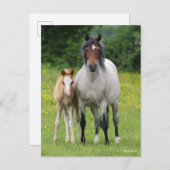Bob Langrish | Welsh Pony Mare and Foal Standing Briefkaart (Voorkant / Achterkant)