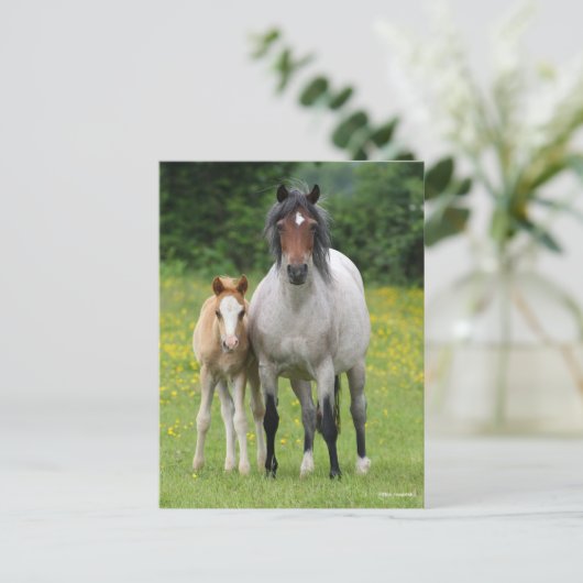 Bob Langrish | Welsh Pony Mare and Foal Standing Briefkaart (Staand voorkant)