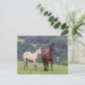 Bob Langrish | Welsh Pony Mare and Foal Standing Briefkaart (Staand voorkant)
