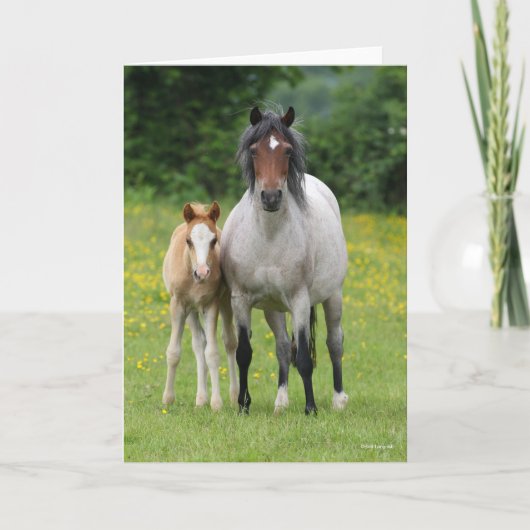 Bob Langrish | Welsh Pony Mare and Foal Standing Kaart (Voorkant)
