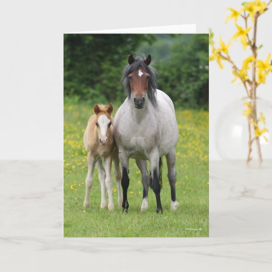 Bob Langrish | Welsh Pony Mare and Foal Standing Kaart (Gele Bloem)