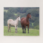 Bob Langrish | Welsh Pony Mare and Foal Standing Legpuzzel (Horizontaal)