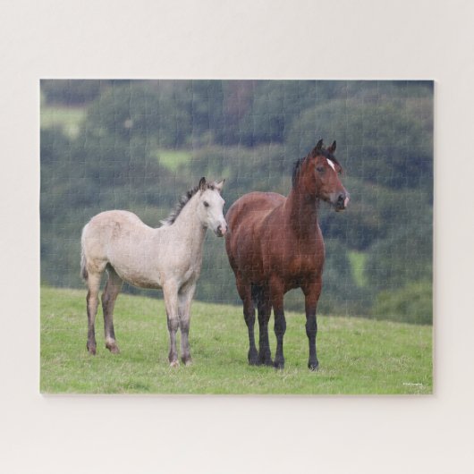 Bob Langrish | Welsh Pony Mare and Foal Standing Legpuzzel (Horizontaal)