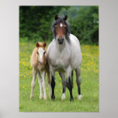 Bob Langrish | Welsh Pony Mare and Foal Standing Poster (Voorkant)
