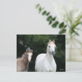 Bob Langrish | Welsh Pony Mare en Foal Briefkaart (Staand voorkant)