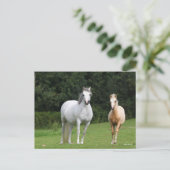 Bob Langrish | Welsh Pony Mare en Foal Briefkaart (Staand voorkant)