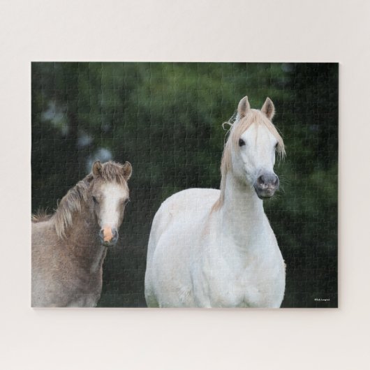 Bob Langrish | Welsh Pony Mare en Foal Legpuzzel (Horizontaal)