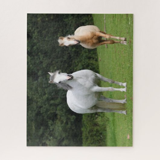 Bob Langrish | Welsh Pony Mare en Foal Legpuzzel (Verticaal)