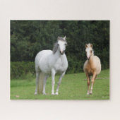 Bob Langrish | Welsh Pony Mare en Foal Legpuzzel (Horizontaal)