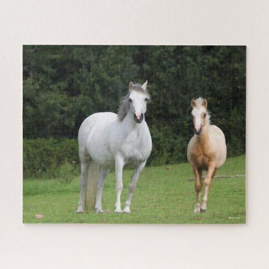 Bob Langrish | Welsh Pony Mare en Foal Legpuzzel (Horizontaal)