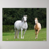 Bob Langrish | Welsh Pony Mare en Foal Poster (Voorkant)