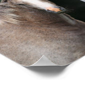 Bob Langrish | Welsh Pony Mare en Foal Poster (Hoek)