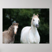 Bob Langrish | Welsh Pony Mare en Foal Poster (Voorkant)