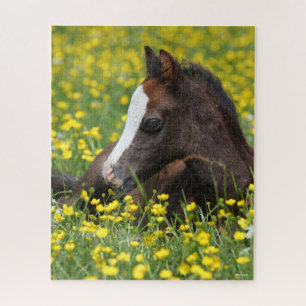 Bob Langrish   Welsh Pony resting in Flowers Legpuzzel