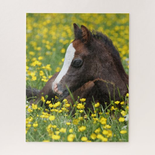 Bob Langrish | Welsh Pony resting in Flowers Legpuzzel (Verticaal)