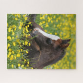 Bob Langrish | Welsh Pony resting in Flowers Legpuzzel (Horizontaal)
