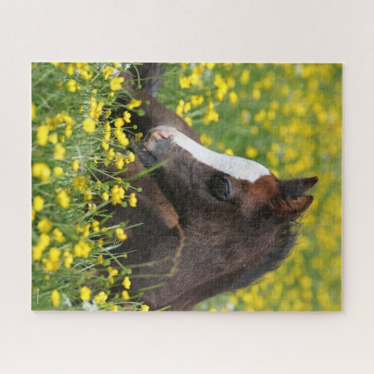 Bob Langrish | Welsh Pony resting in Flowers Legpuzzel (Horizontaal)