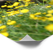 Bob Langrish | Welsh Pony resting in Flowers Poster (Hoek)