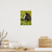 Bob Langrish | Welsh Pony resting in Flowers Poster (Keuken)