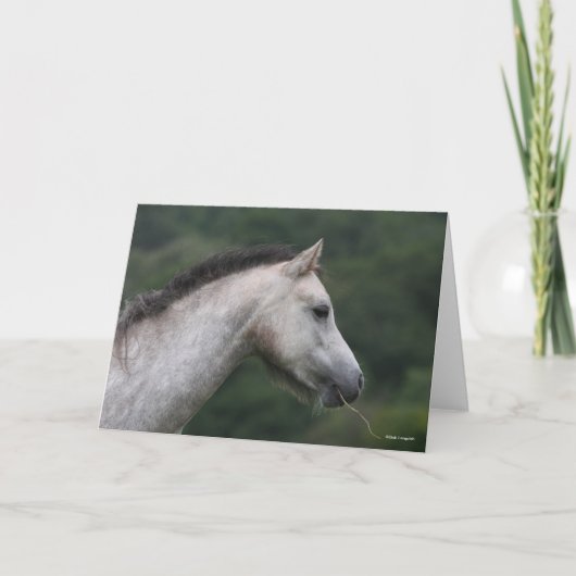 Bob Langrish | Welsh Section A Pony Headshot Kaart (Voorkant)