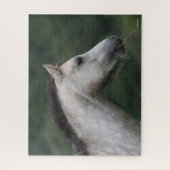 Bob Langrish | Welsh Section A Pony Headshot Legpuzzel (Verticaal)