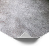 Bob Langrish | Welsh Section A Pony Headshot Poster (Hoek)