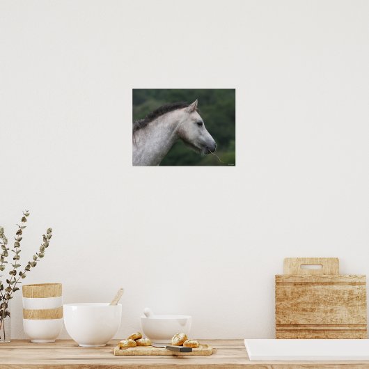 Bob Langrish | Welsh Section A Pony Headshot Poster (Keuken)