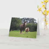 Bob Langrish | Zachte Pony met schaap Kaart (Gele Bloem)