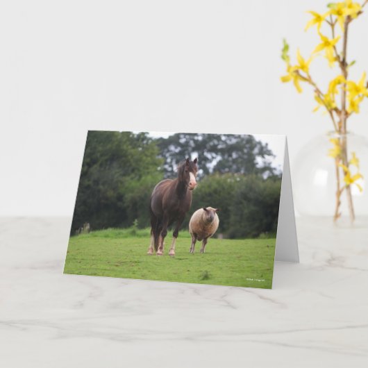 Bob Langrish | Zachte Pony met schaap Kaart (Gele Bloem)