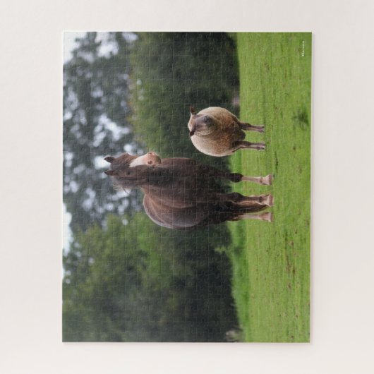 Bob Langrish | Zachte Pony met schaap Legpuzzel (Verticaal)