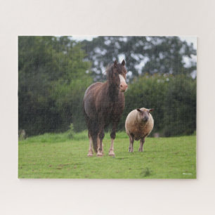 Bob Langrish   Zachte Pony met schaap Legpuzzel