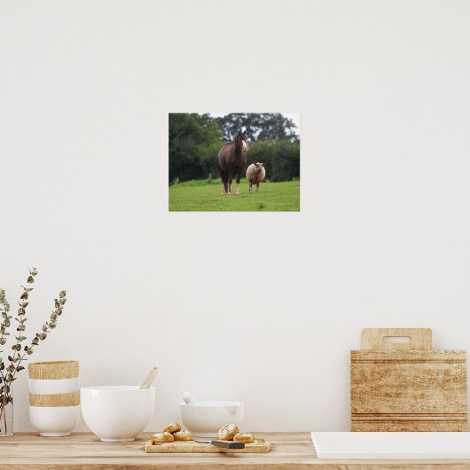 Bob Langrish | Zachte Pony met schaap Poster (Keuken)