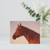Bob Langrish | Zonnebak van Arabische kastanjepaar Briefkaart (Staand voorkant)