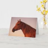 Bob Langrish | Zonnebak van Arabische kastanjepaar Kaart (Gele Bloem)