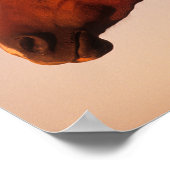 Bob Langrish | Zonnebak van Arabische kastanjepaar Poster (Hoek)