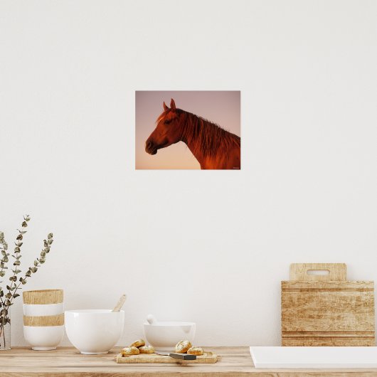 Bob Langrish | Zonnebak van Arabische kastanjepaar Poster (Keuken)