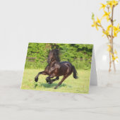 Bob Langrish | Zwart-Aziatisch draaiend Kaart (Gele Bloem)