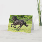 Bob Langrish | Zwart-Aziatisch draaiend Kaart (Voorkant)