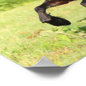 Bob Langrish | Zwart-Aziatisch draaiend Poster (Hoek)