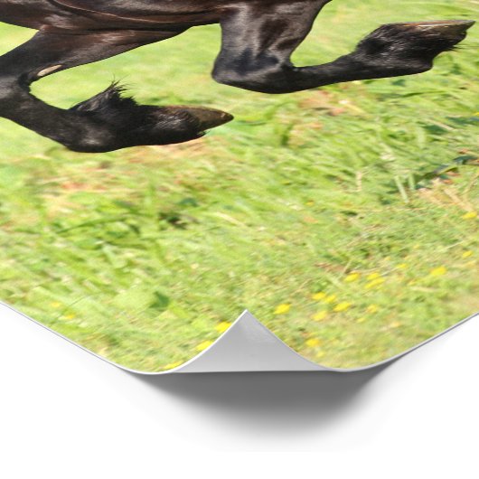 Bob Langrish | Zwart-Aziatisch draaiend Poster (Hoek)