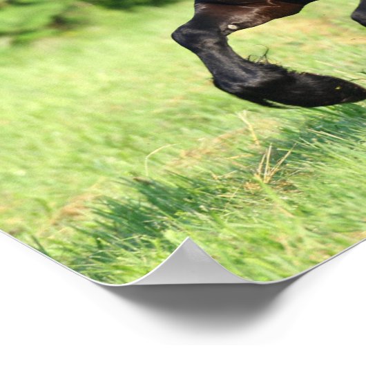 Bob Langrish | Zwart-Aziatisch draaiend Poster (Hoek)