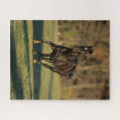 Bob Langrish | Zwart draaiend draaien Legpuzzel (Horizontaal)