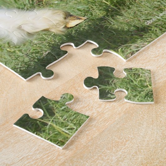 Bob Langrish | Zwart gipspannerschuim loopt Legpuzzel (Zijkant)