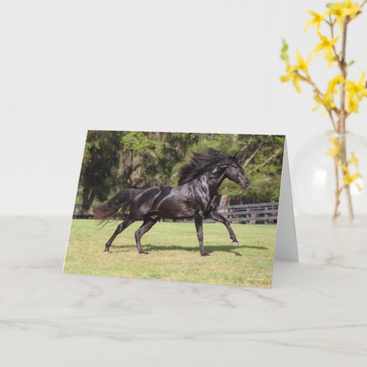 Bob Langrish | Zwart Lusitano Kaart (Gele Bloem)