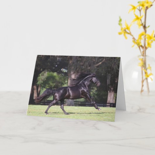 Bob Langrish | Zwart Lusitano Kaart (Gele Bloem)