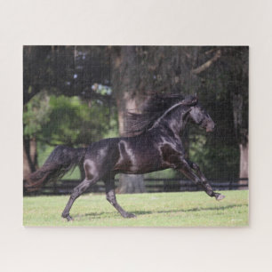 Bob Langrish Zwart Lusitano Legpuzzel