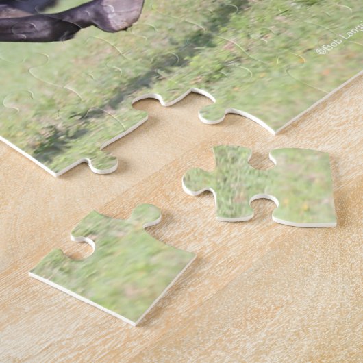 Bob Langrish | Zwart Lusitano Legpuzzel (Zijkant)