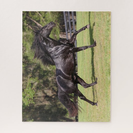 Bob Langrish | Zwart Lusitano Legpuzzel (Verticaal)